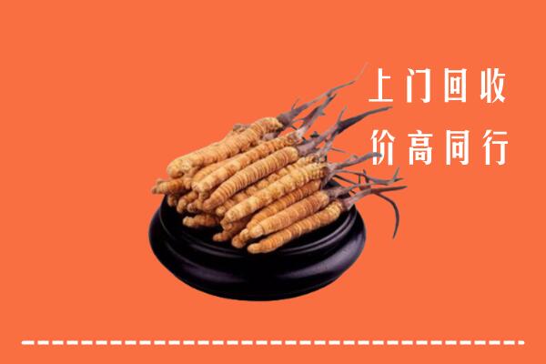 高价求购：广安武胜回收散虫草