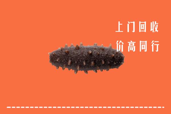 高价求购：广安武胜回收海参