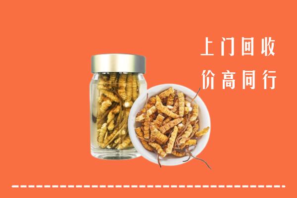 广安武胜高价回收冬虫夏草